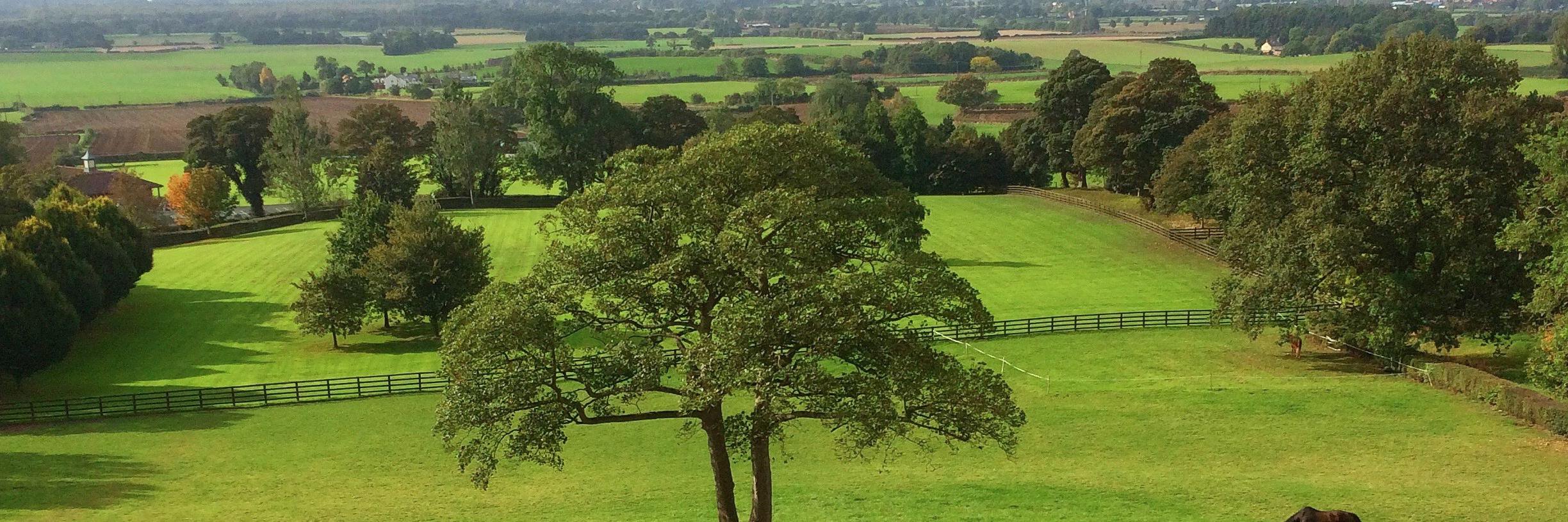 Colin Merritt banner