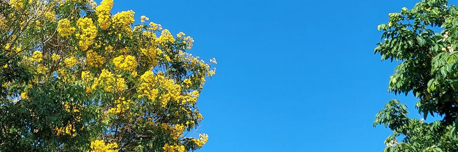 cm_pillar's profile banner image