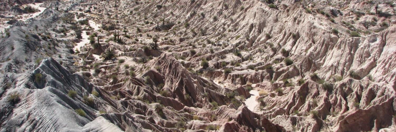 Penn State EESI banner