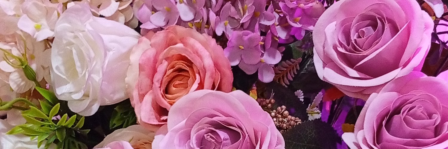 nataliaechavezj's profile banner image