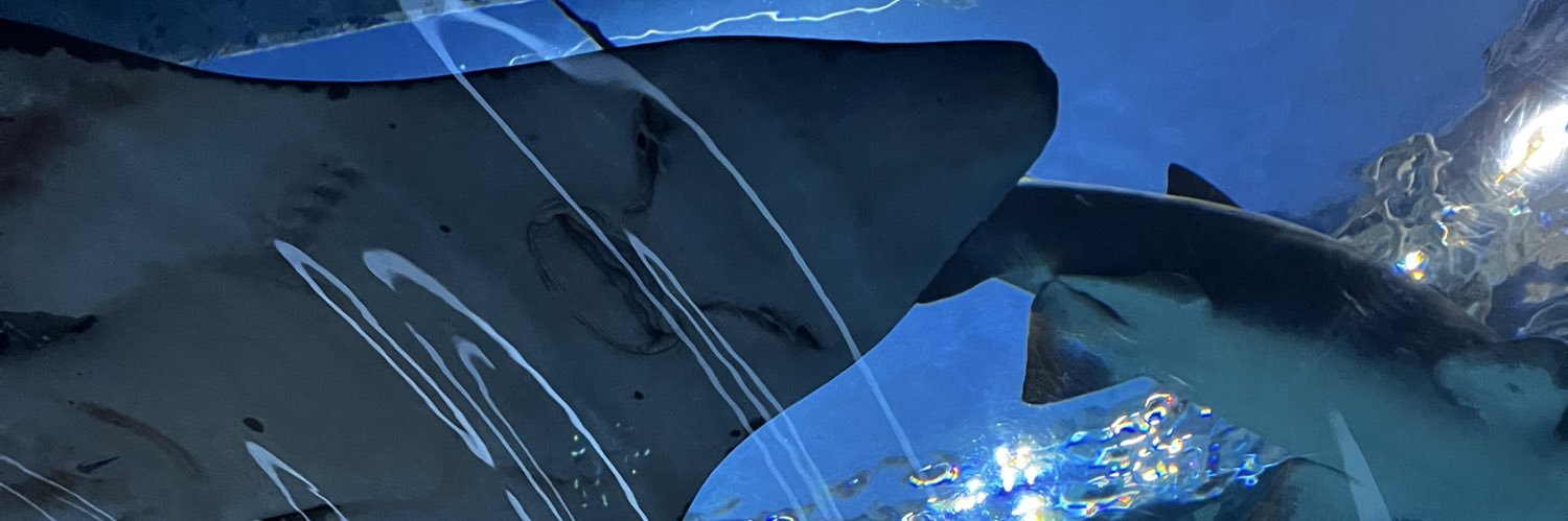 reddoriri's profile banner image