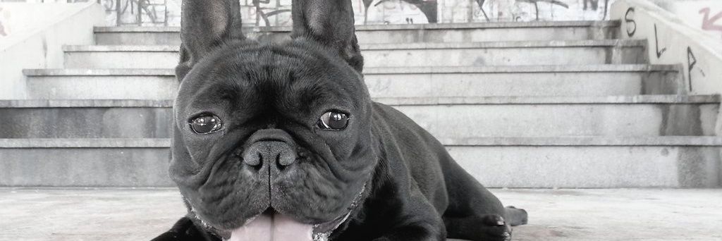 JoseMirSan's profile banner image