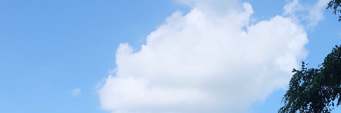 MYYUII's profile banner image