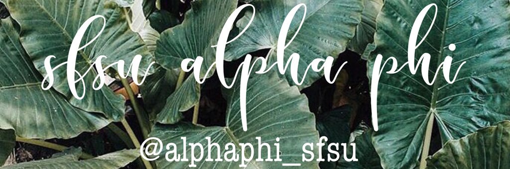sfsualphaphi's profile banner image
