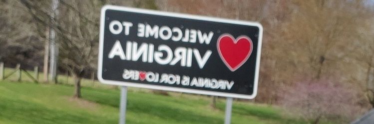 Lotuswolf1's profile banner image