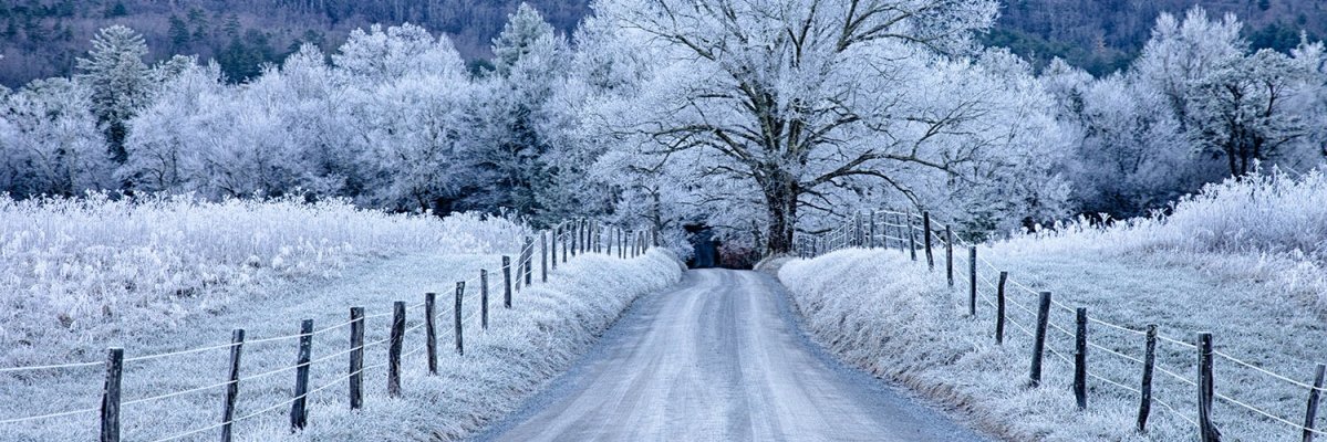 I'm Over Here 👑 🇮🇪 🇬🇧 banner