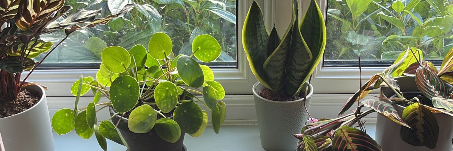 Mrs Woodward EYFS 🦥 banner