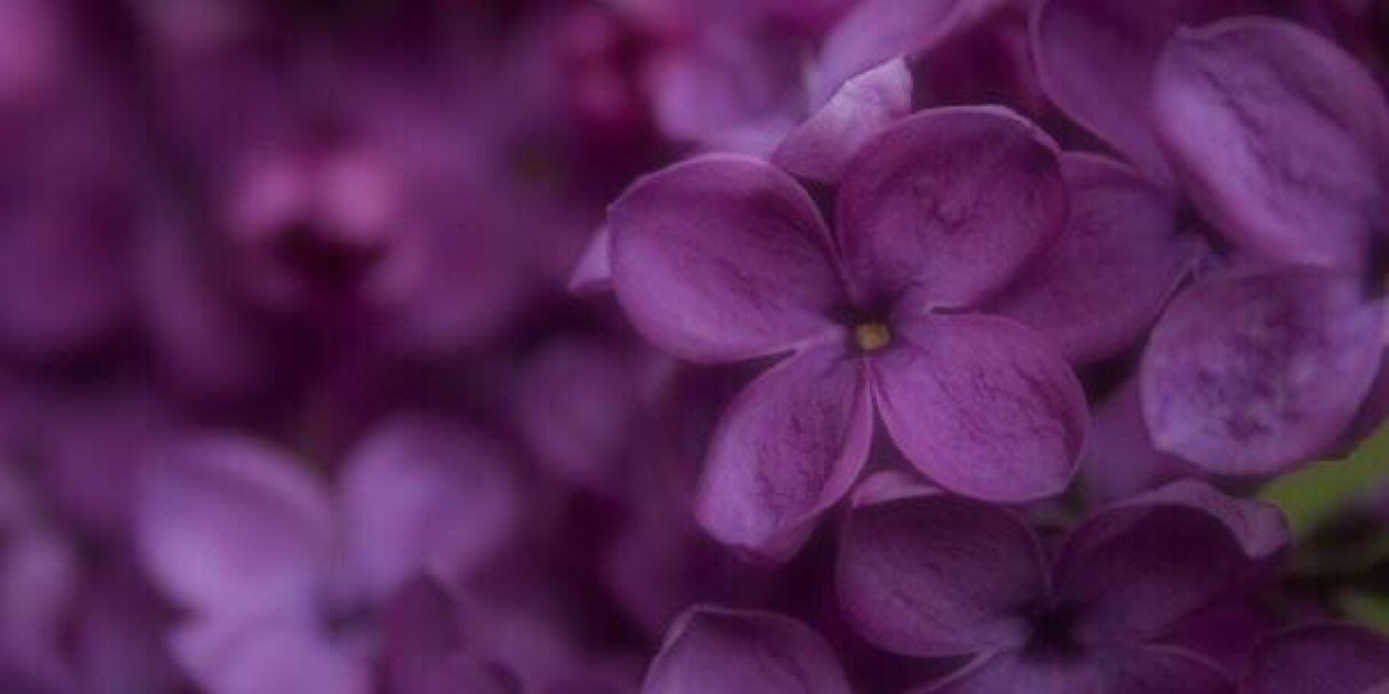 Al3onyaQ8's profile banner image
