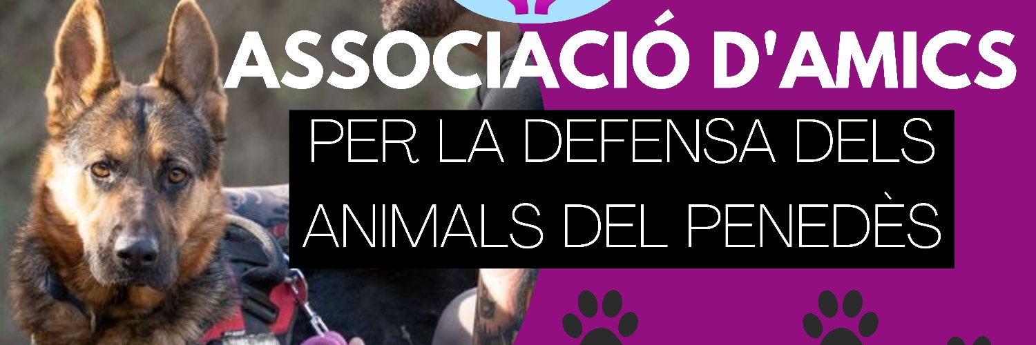 adappenedes's profile banner image