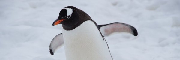 AtomicPandaMA Profile Banner