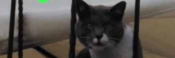 Rachel30496361's profile banner image
