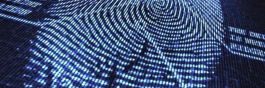 SMLR Group, Inc. banner