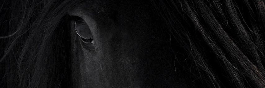 MMusrali's profile banner image