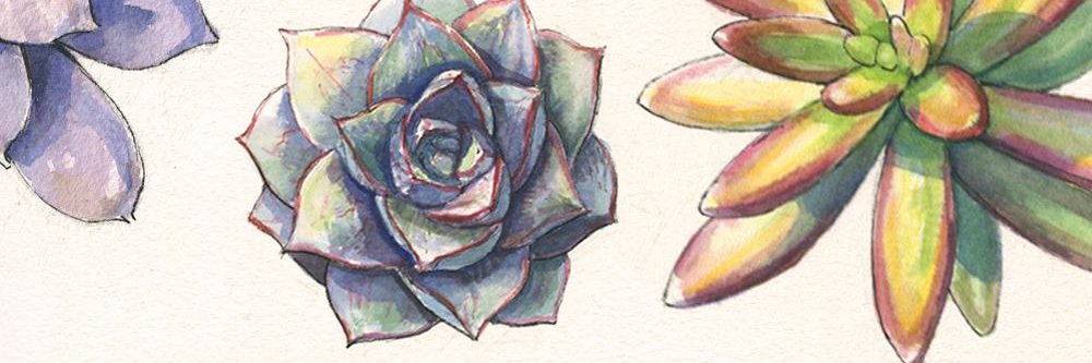 Olivia Tabares banner