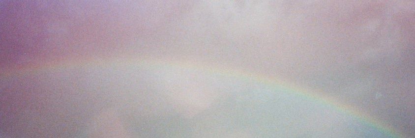 noa𓆝 banner