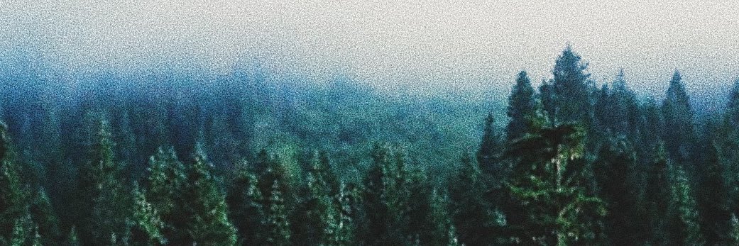 Gabriel Maskov banner