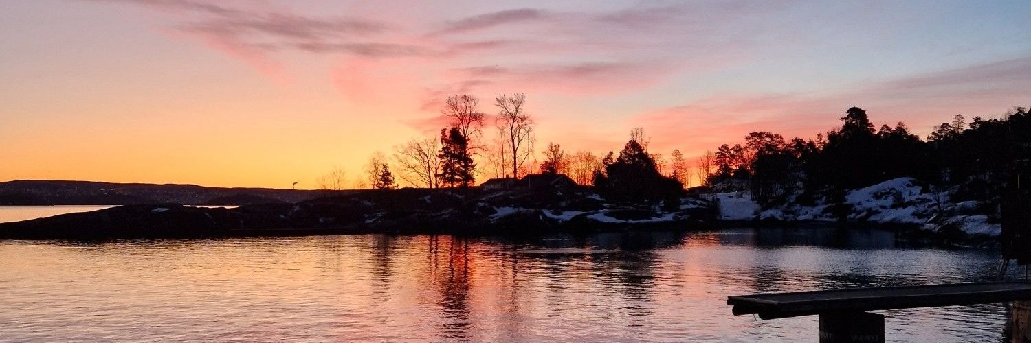 Erling Rostvåg banner