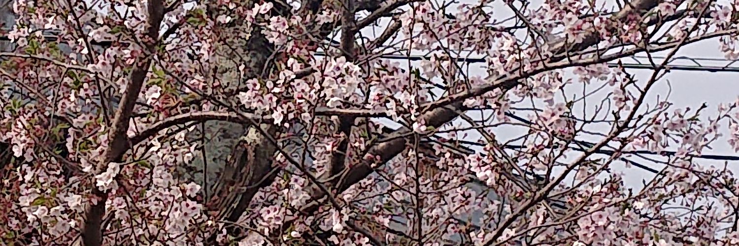arazou1973's profile banner image