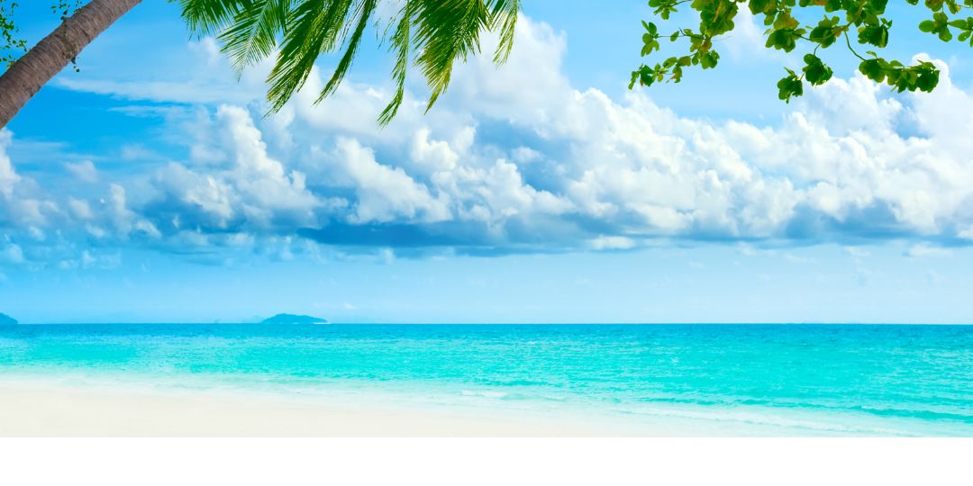 AAAMom83's profile banner image