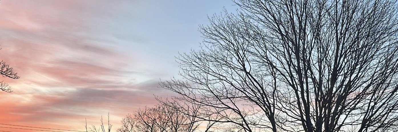 ひ banner