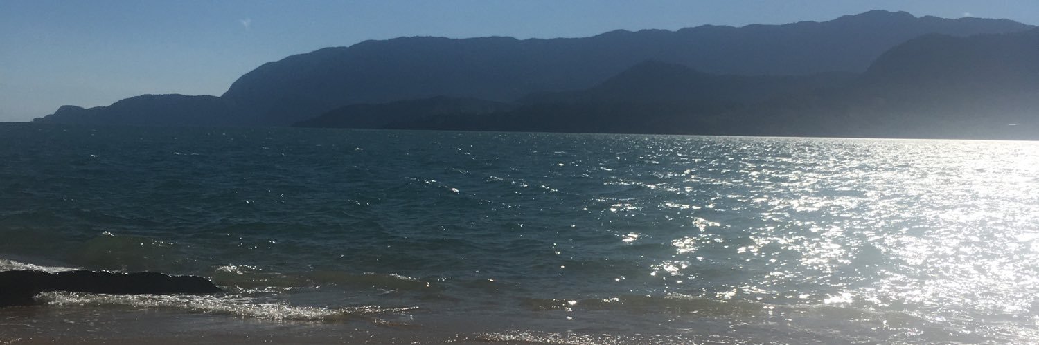 refrozinha's profile banner image