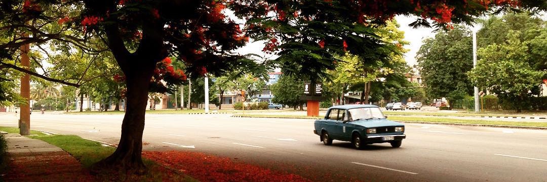 Raquel Ribeiro banner