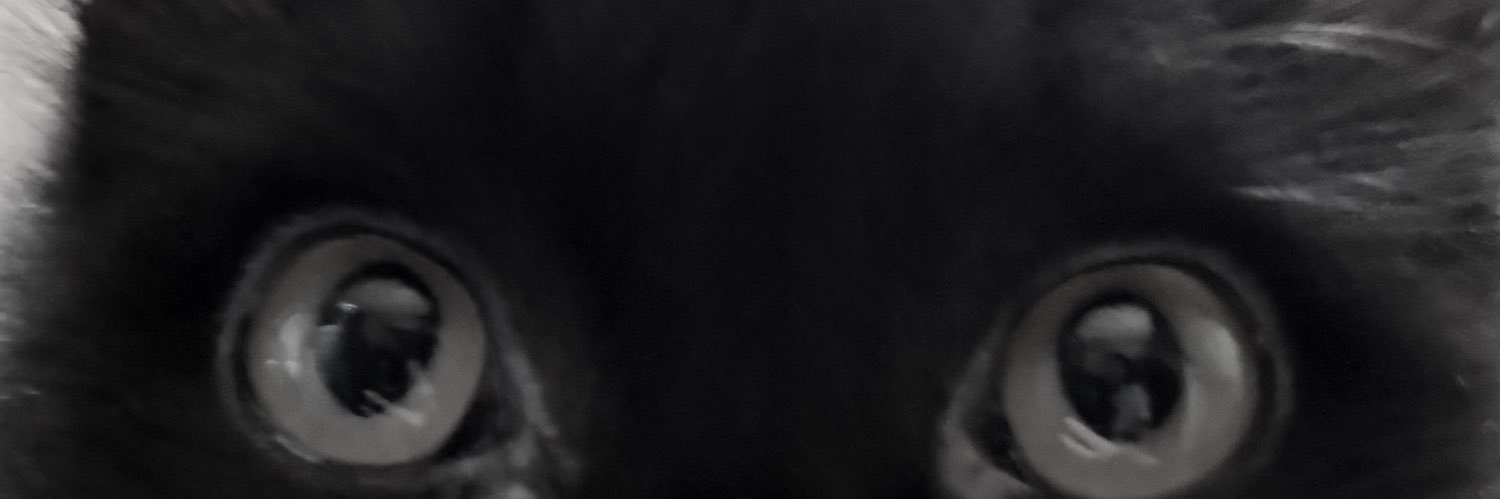 prengshu's profile banner image