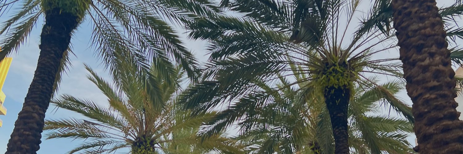 timslena1's profile banner image