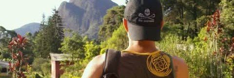 ⎔ Dolo Mite ⬣ banner