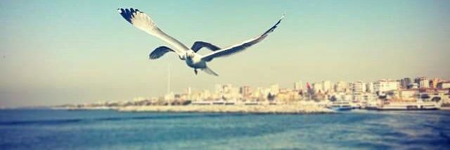 murat_kiroglu's profile banner image