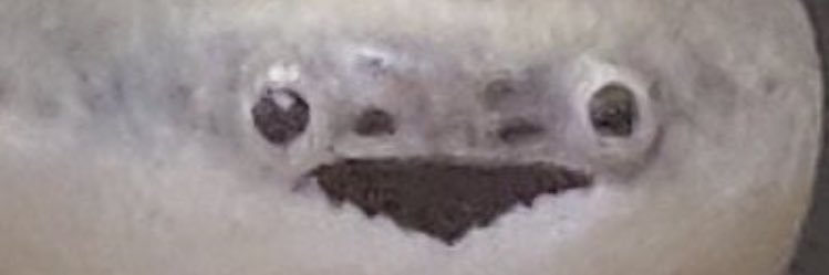 えとのわ〜る banner