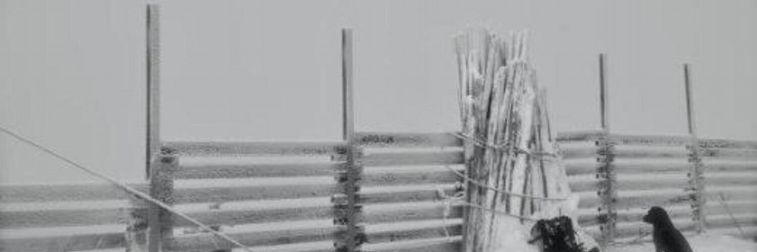 Florian Hanke profile banner