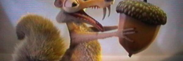 FF_Grazz Profile Banner