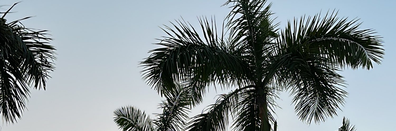 Rae Rodriguez banner