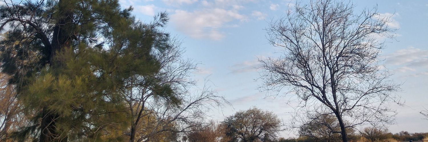 RocioSeculin's profile banner image