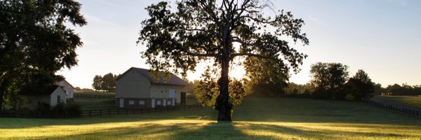 WheatlandSpring Profile Banner