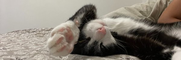 niveditaga Profile Banner