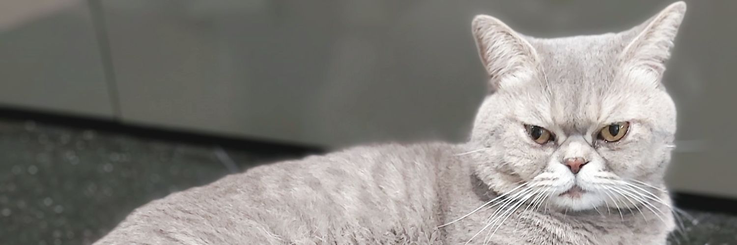 Marif0717's profile banner image