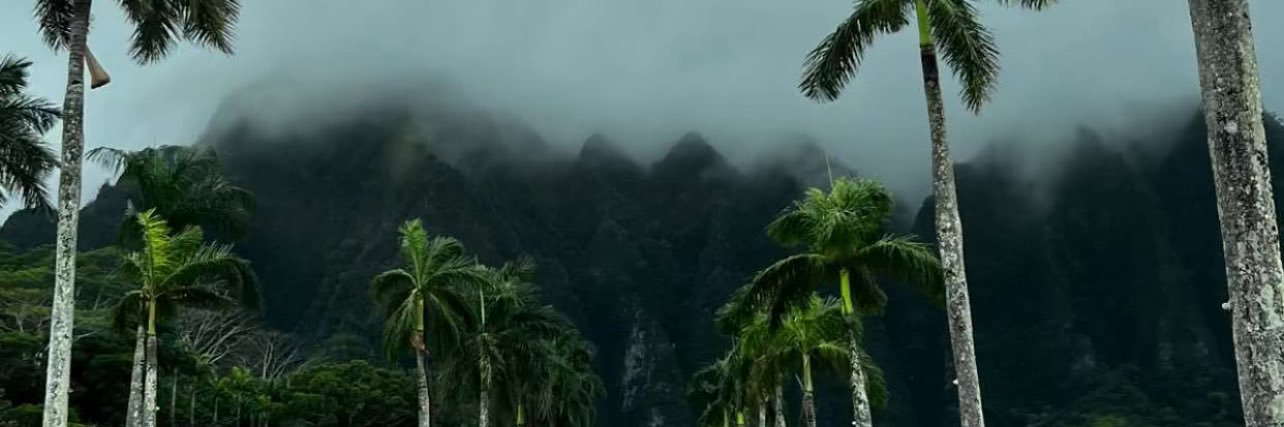svmab's profile banner image