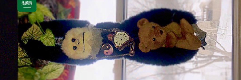 _baileytweets's profile banner image