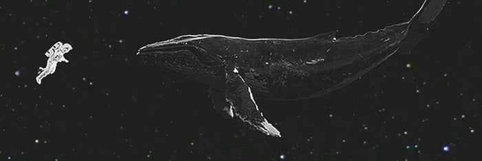 chanyeahhh's profile banner image