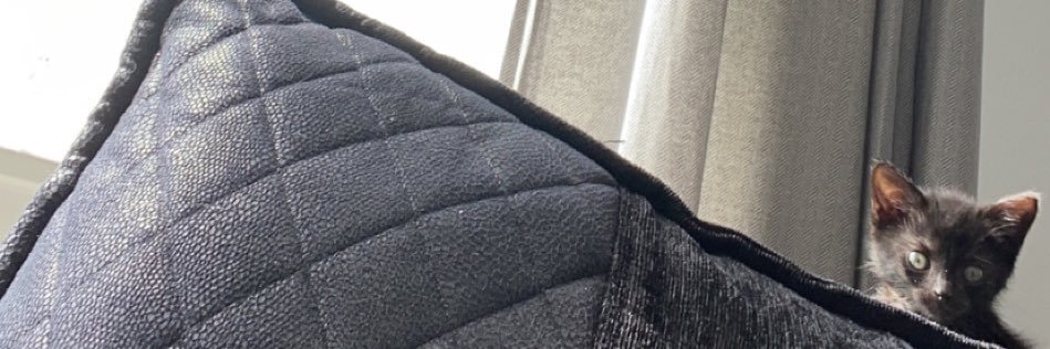 abbienimbley's profile banner image
