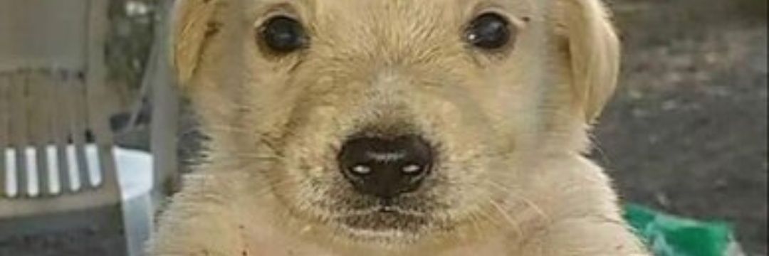 eltebitax's profile banner image