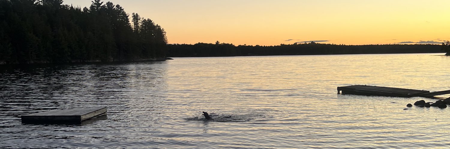 Cal - experiencing Troy Barrett brainrot banner