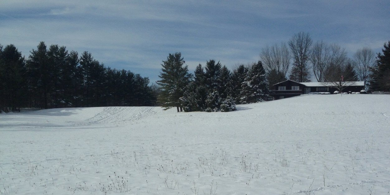 Ragnar Rowland banner