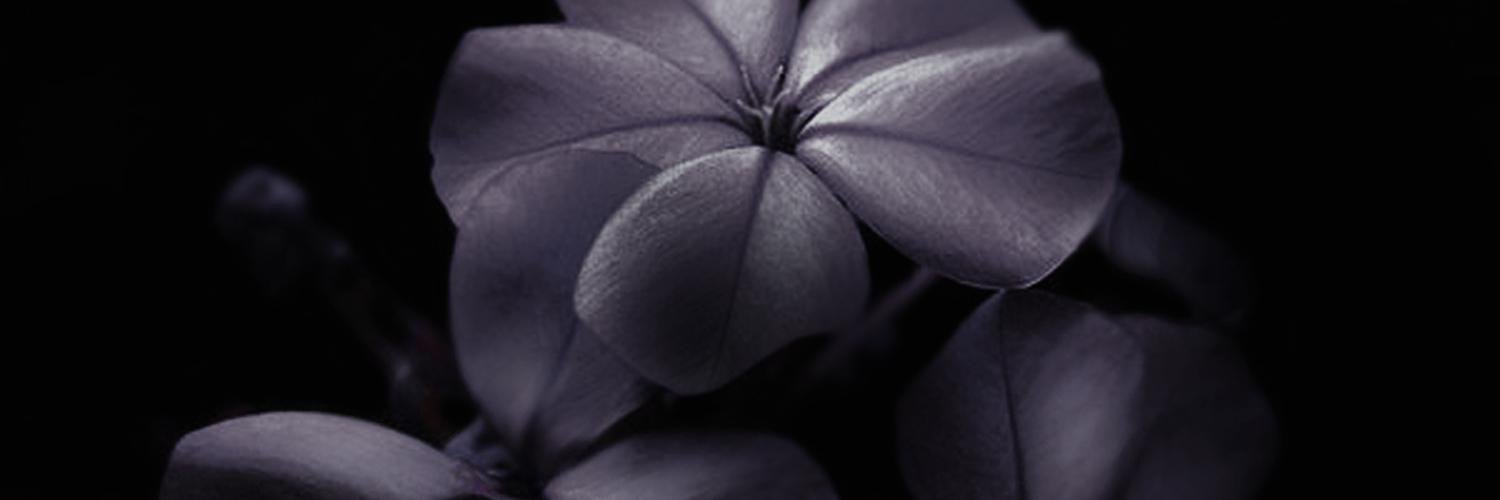 smileyna's profile banner image