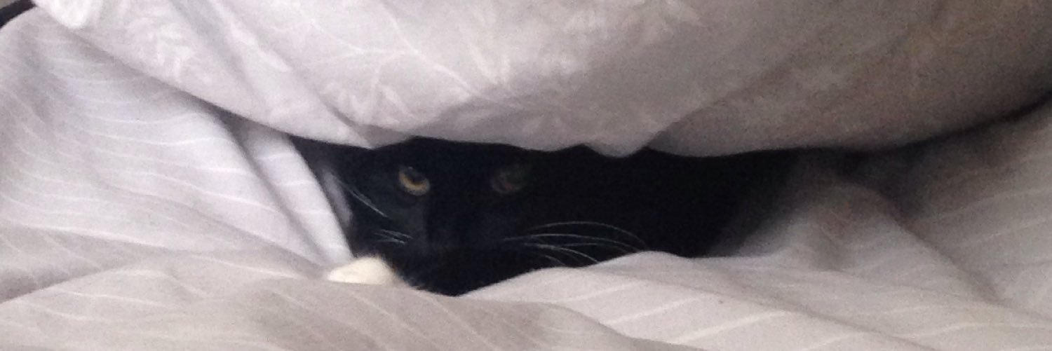 Stubbs67's profile banner image