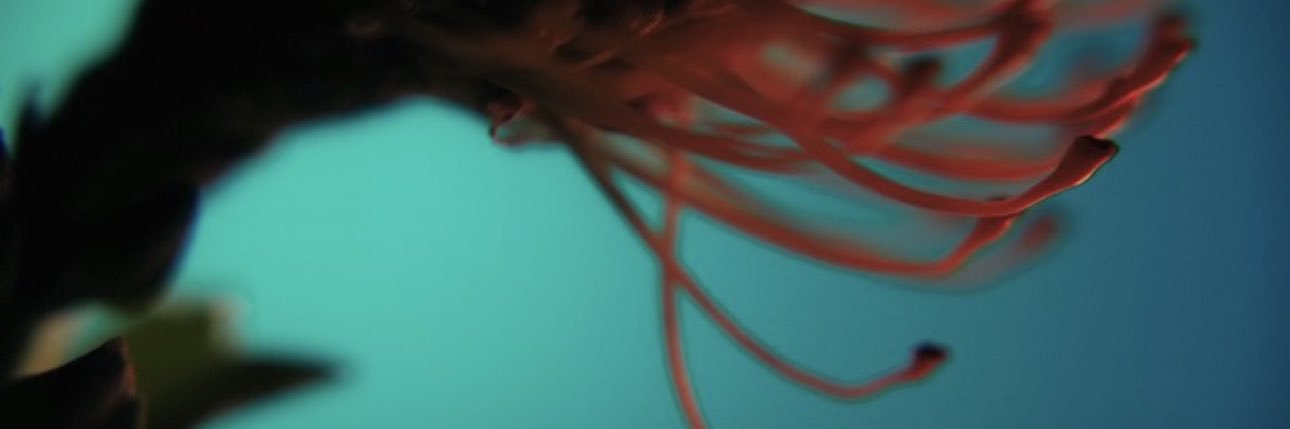 GRUX banner