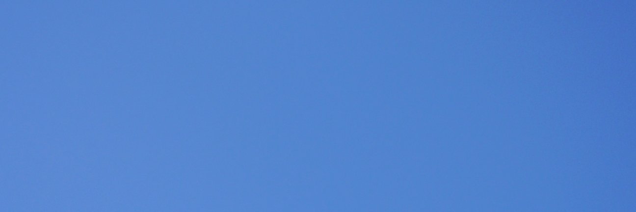 Ali banner