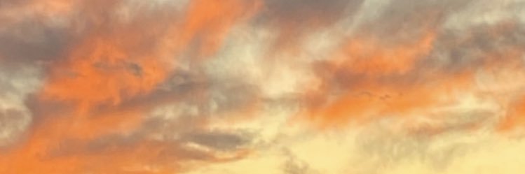 Lulimab1's profile banner image